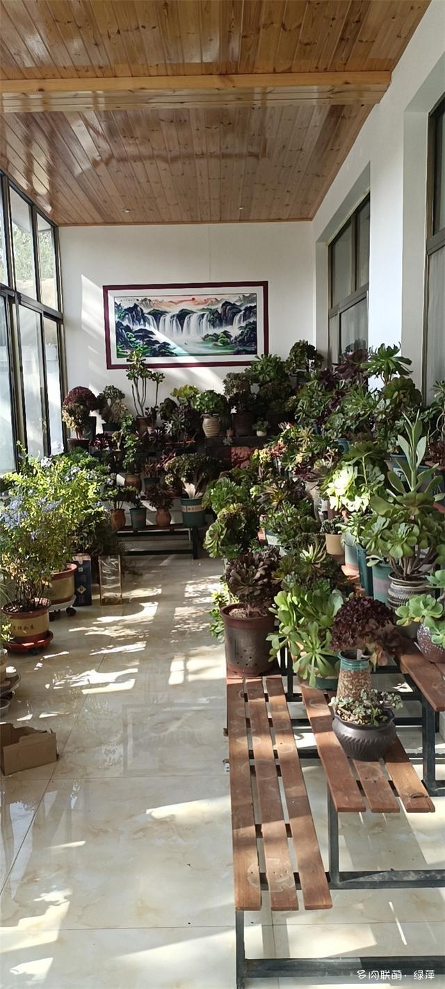 拈花一笑为红颜,无奈雨霾非吾恋