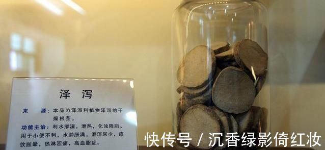 三焦|一味常用的“除湿”良药,能“通泻三焦之水,清利一身之湿”