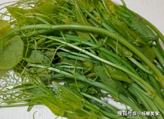 瓜苗|夏天遇到这菜一定要买，清口爽脆，敞开吃不长肉，还变瘦