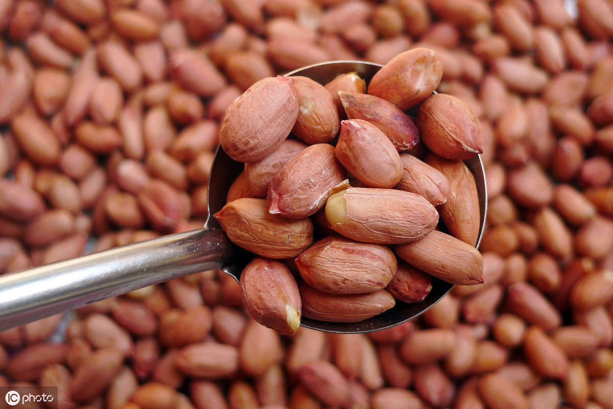 空腹|早起后空腹吃几粒花生,不出半个月,这些好处可能“不请自来”