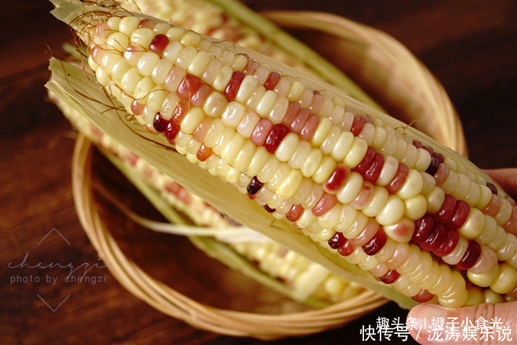 玉米|保存玉米，到底先煮后冻还是先冻后煮做对了，味道和鲜玉米一样