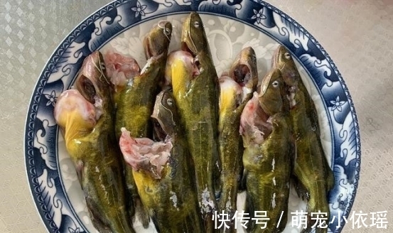 无论炖什么鱼,都不要放这“两种调料”,搞错了鱼又腥又难吃