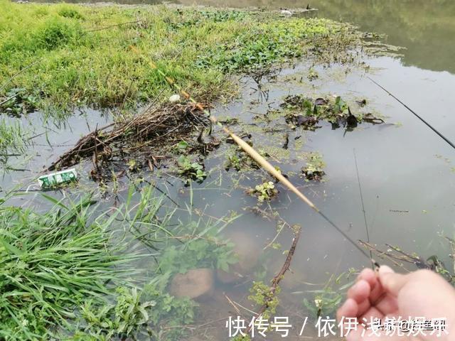 半目|轻口鱼难钓?按我的方法做一钓一个准,再小的口也能逮住