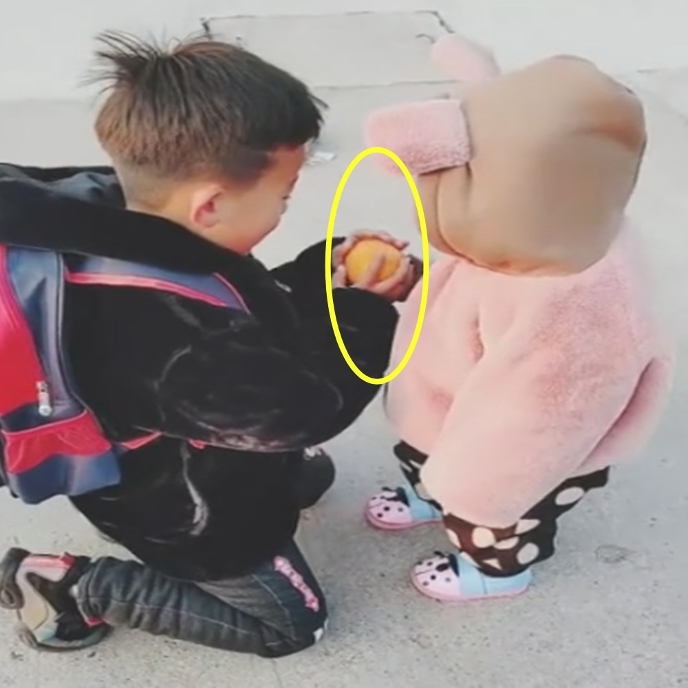 橘子|大风天妹妹也坚持要接哥哥放学,两人见面后,这一幕幕也太暖了