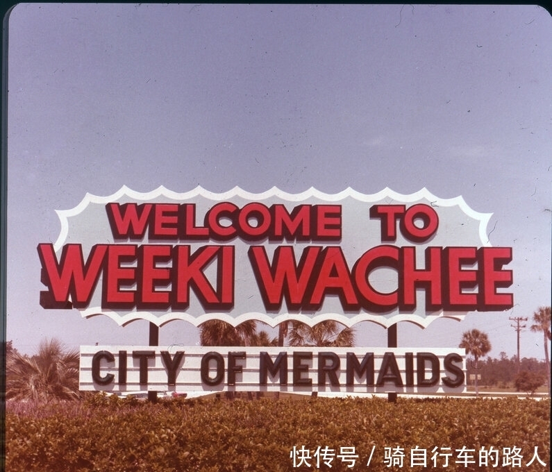 美丽|老照片 1959年美国水下舞蹈表演 美丽的美人鱼