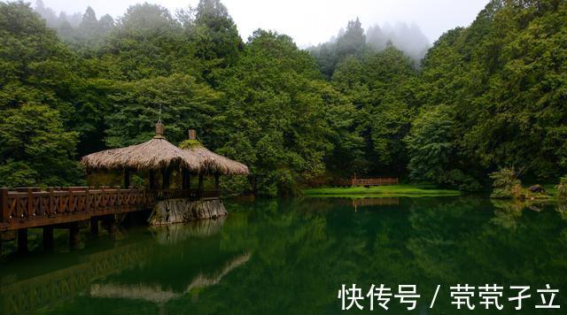 金秀$聊斋故事:金秀