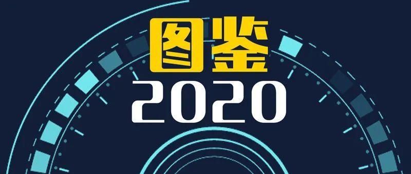 ?图鉴2020②∣请回答，2020！