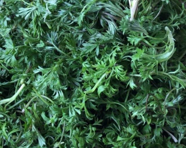 排出|藏在路边“护肝菜”,每天吃一盘,排出毒素,口臭没了,肝脏健康