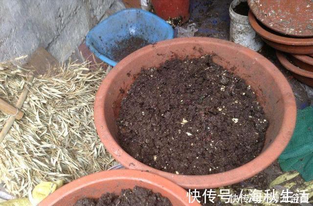 钓鱼用不完的蚯蚓,可以这样保存,都不用花钱再买了