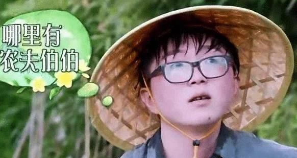 池子|向往的生活最令人反感的一位嘉賓,錄節(jié)目全程抽煙,整一期黃磊都沒搭理他