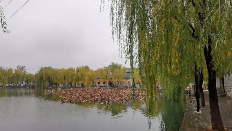 美景|冬雨中的百花洲，游人漫步赏美景