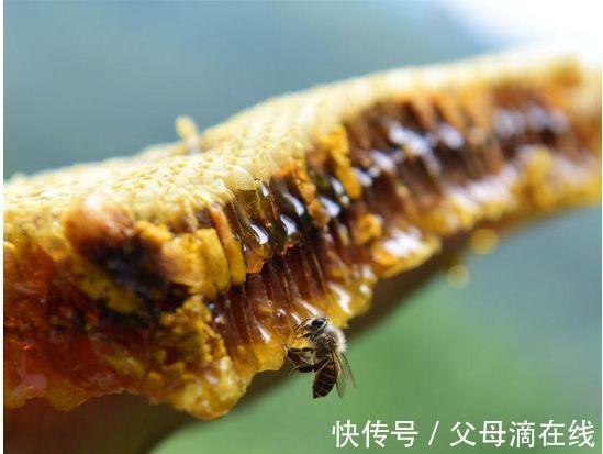 陈医师|想长寿要会吃，三种食物不错过，能安神，提高免疫力，还可以排毒