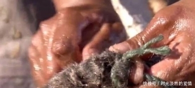 因纽特人|地下存放3年的尸体竟是美食!鲱鱼罐头都弱爆了