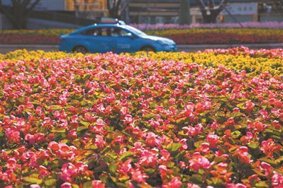 广州江南大道流光溢彩