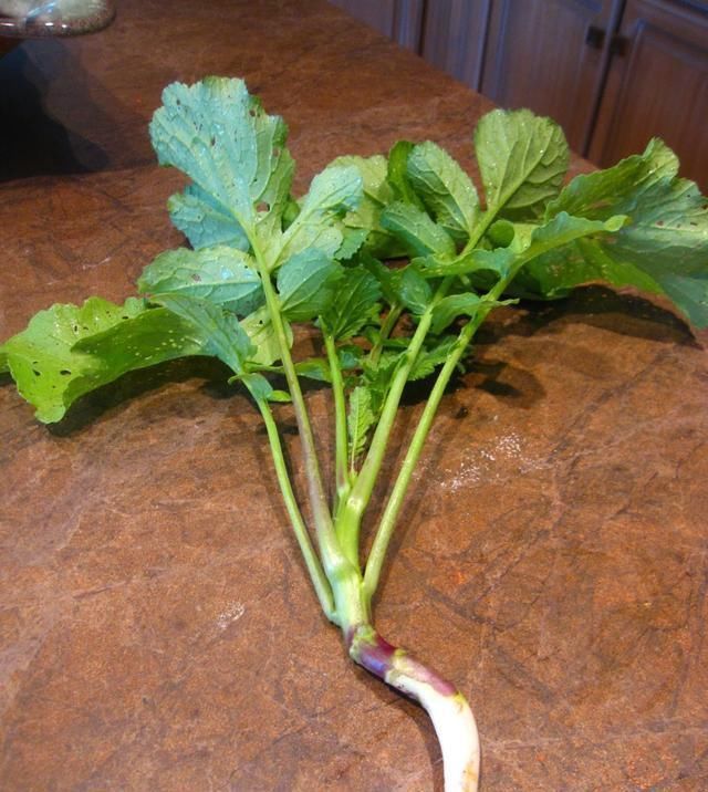 大锅|自从学会米饭这吃法,1周3次,回回1大锅都见底,锅都不用洗了