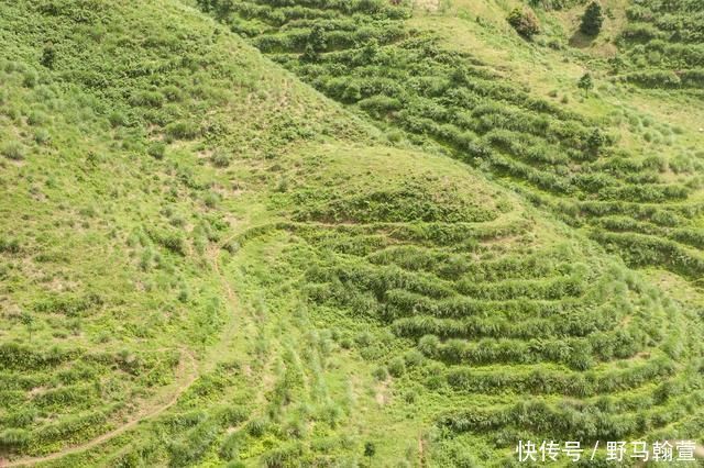 英雄|我国有条超惊险公路，如白龙盘山，在此开车超刺激，被誉为英雄路