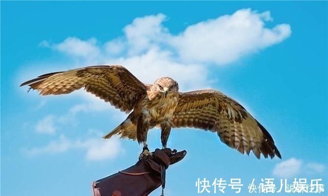 玩鸟&俗话说“钓鱼穷三年,玩鸟毁一生”,它下句才是精华,却鲜为人知