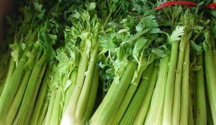 此物|芹菜和此物是天生的敌人,吃完芹菜不能再吃它,现在明白还不算晚