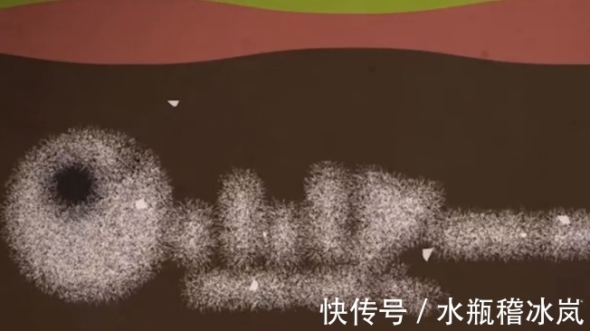 逝世|人逝世后埋入土中会发生什么?3D动画模拟全程,看完后莫名的悲酸