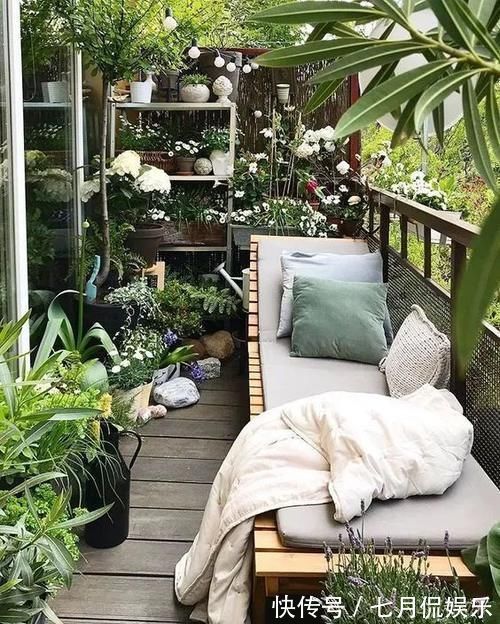 闲人|这样的阳台,那院子我也不换,美得太过分,今生只做个闲人了!
