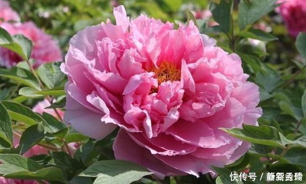 笑面虎|老祖宗说“奸者不离三”,小人身上的3个特点,早明白早防备