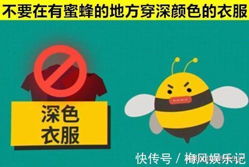 荒野|可以在万分危急的情况下拯救你生命的10个生存技巧
