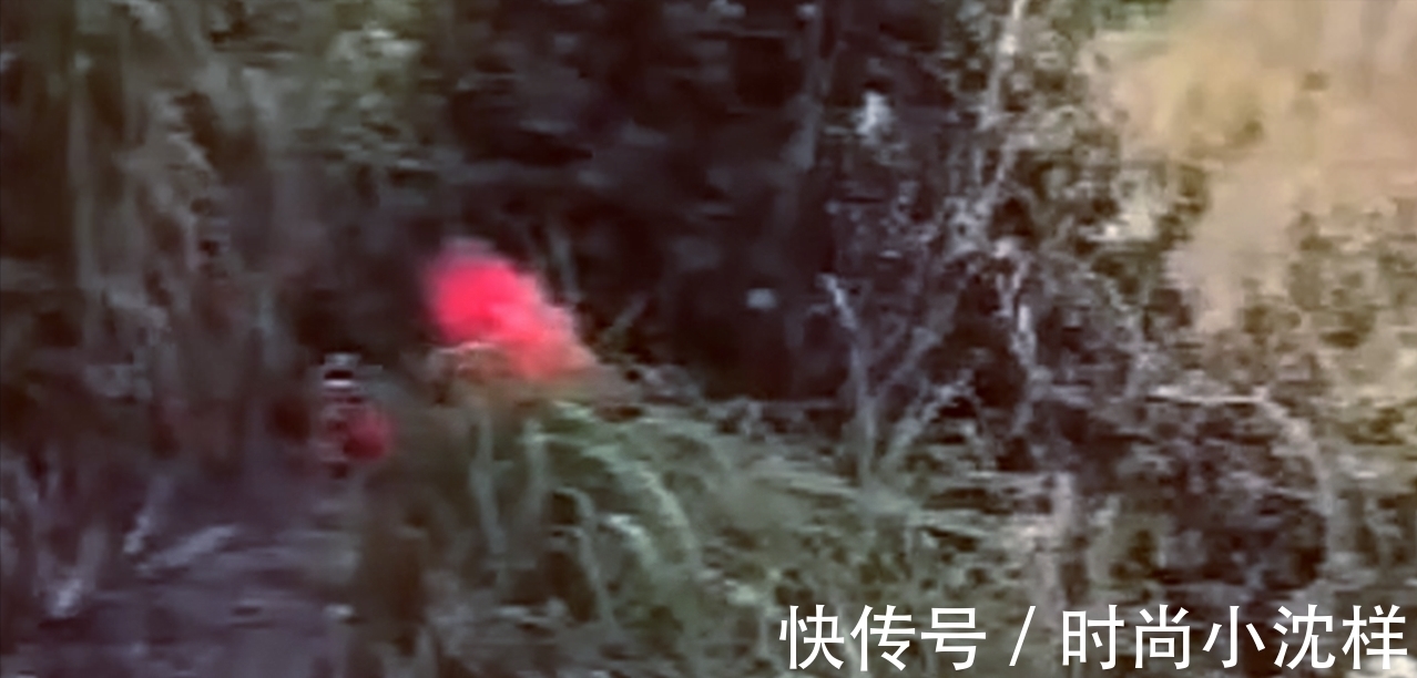 男子钓鱼上瘾,连续垂钓一天一夜后被人“暴打”,网友:不敢拉架