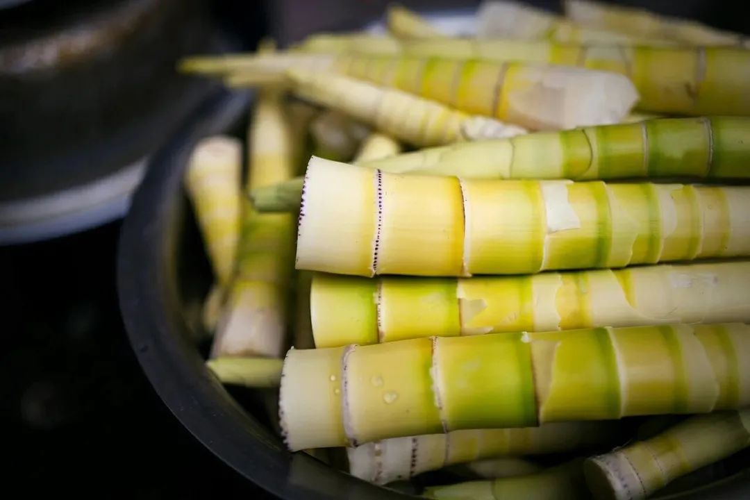 有朋自远方来|《从长江的尽头回家》宜宾美食之旅启程 刘仪伟：有朋自远方来不亦“吃”乎