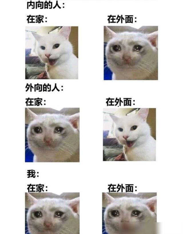 软件|因为外卖软件能3个人在一起聊天,所以有趣的事就发生了