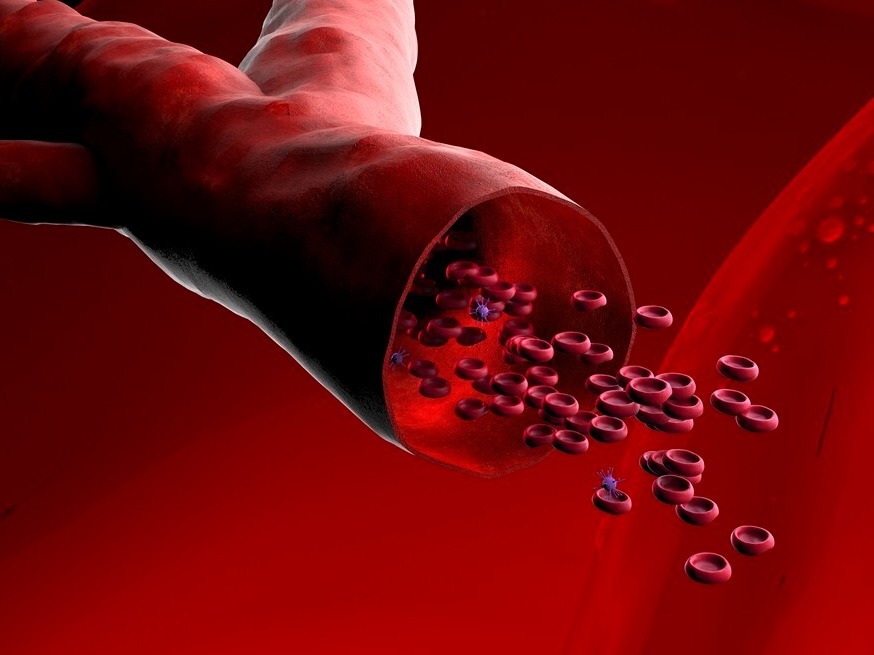 血脂|108岁老人，年轻像60岁，长寿秘诀不是多锻炼，而是这3件事