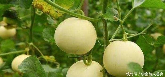满脸皱纹|女性不想满脸皱纹，可以坚持吃3种食物，美白护肤，越吃越年轻！