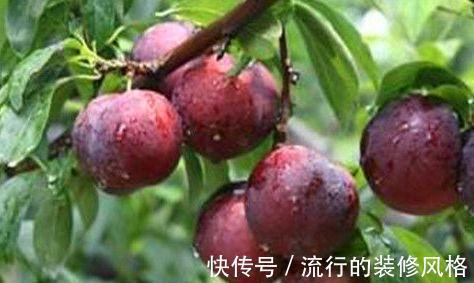 维生素b|女性过了30，不妨常吃3物，滋养肌肤，促进排毒，子宫更健康