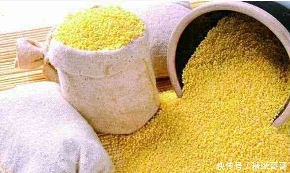 养胃|小米是养胃首选,但和它搭配,没营养不说,还易吃坏身体!