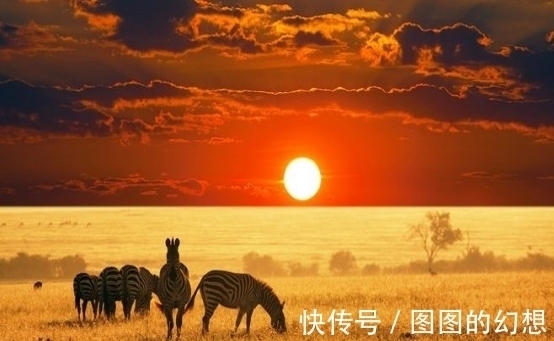 新王&非洲一部落,16岁男子继承酋长,同时继承76个妻子及400多个子女