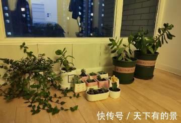 装修|为了省钱,40平米小户型做简单装修,说不上多精致,但是却很温暖