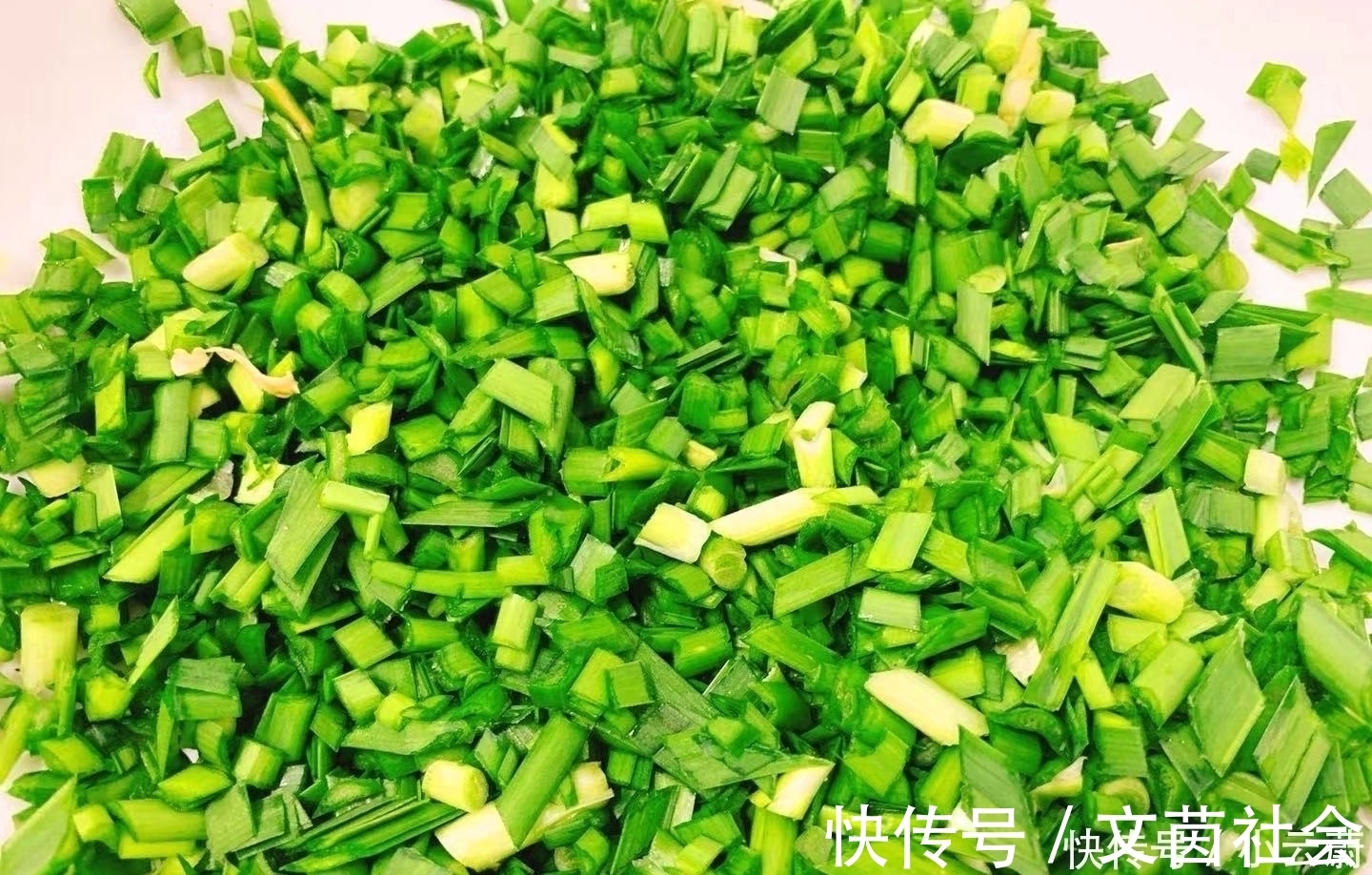 胡大厨|做韭菜盒子时,直接和面是大错特错!少了1步,难怪皮又硬又厚