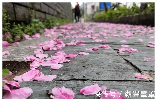 桃花|下一周，岁月静好，喜鹊盘旋，情缘不灭，乌云散去，桃花绽开