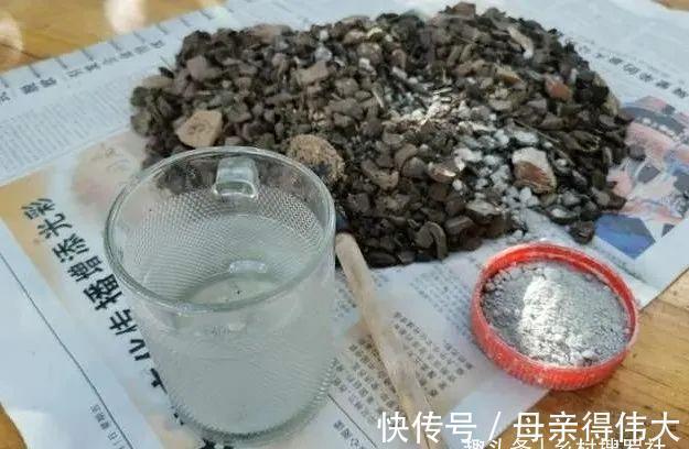 用它养兰花，一肥三效：促根、延长花期、改善水质，好多人不知道