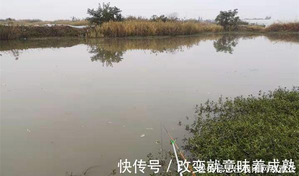 钓位|冬季钓鲫鱼,先别着急下竿,两大策略帮你找鱼窝,不愁钓不到鱼!