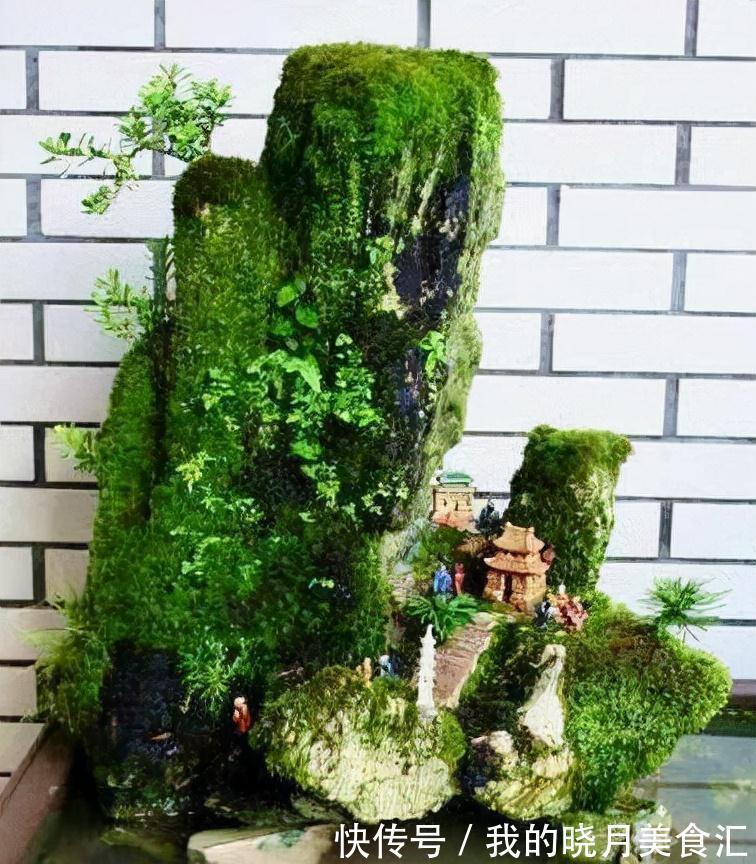 苔藓盆栽3大玩法，随地取材还不花一分钱，好看更好养