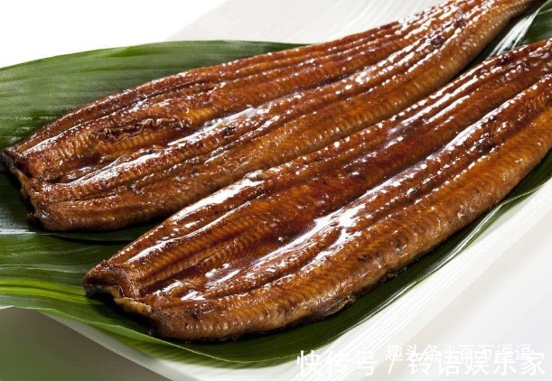 羊肉|三伏天气宁愿不吃牛羊肉,也要吃这几种食物!消暑滋养胜过补汤