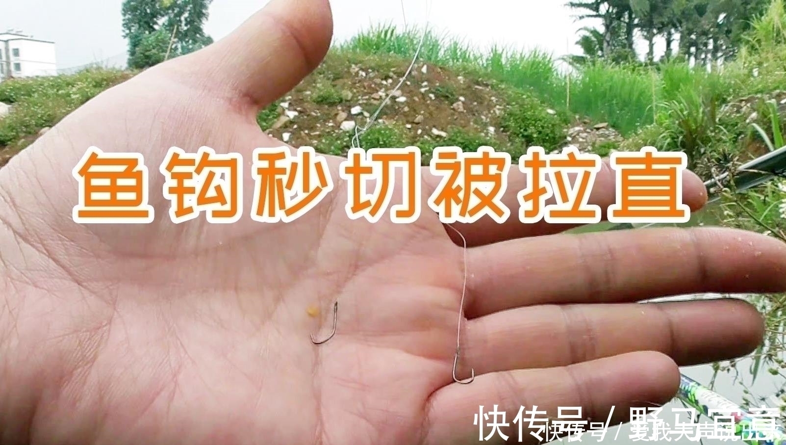 大鱼吃钩总在不经意间,为何别人能钓获大鱼,而你经常切线断钩