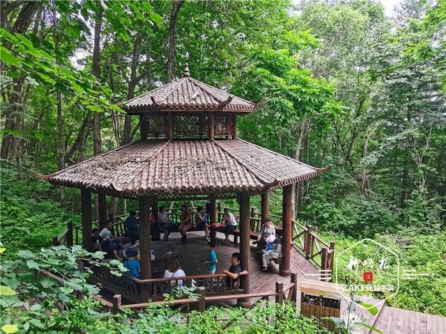 旅游|登山观景尝美食!通河铧子山第十六届登山节开幕