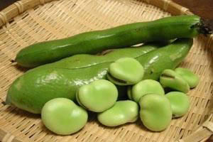 中薪|這種豆類正當季，高蛋白低脂肪，健腦又營養！