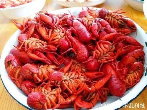 这虾一直被认错,实为国产物种,因为味道鲜美,现如今一斤卖到50