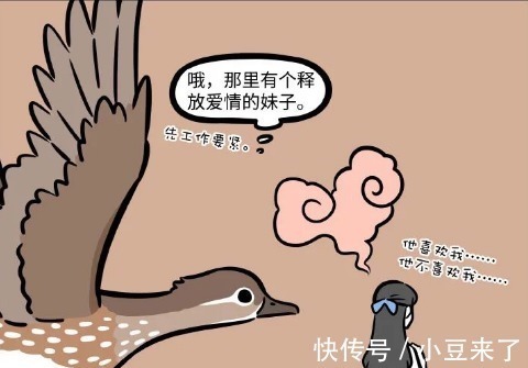 鸳鸯|非人哉：人类爱情太纠结，鸳鸯很不解，难道不累吗？