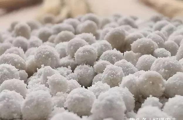 兰花|兰花叶片瘦小,需要赶快施肥吗兰友这样操作才正确