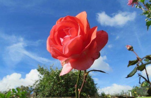 气话|俗话说多说多错,少说少错,想要一生命好福气大,别说4种话!