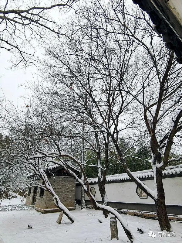 庚子年冬月，在青州古城听雪落下的声音～