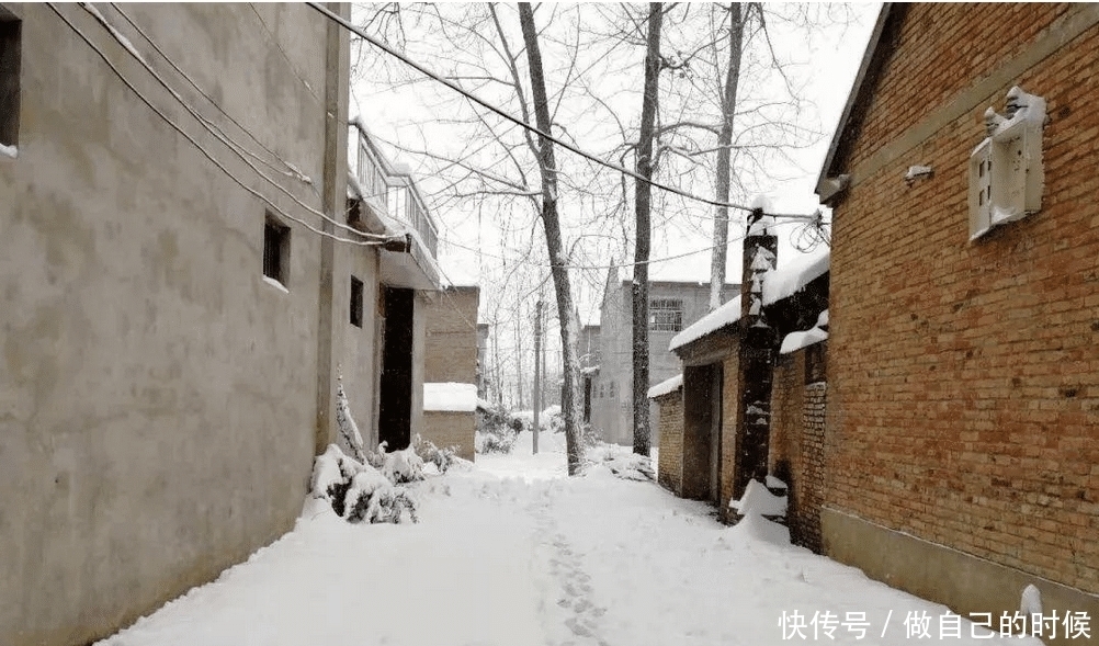 农村俗语“一九一场雪,猪狗不吃黑”是啥意思?老话有道理吗?